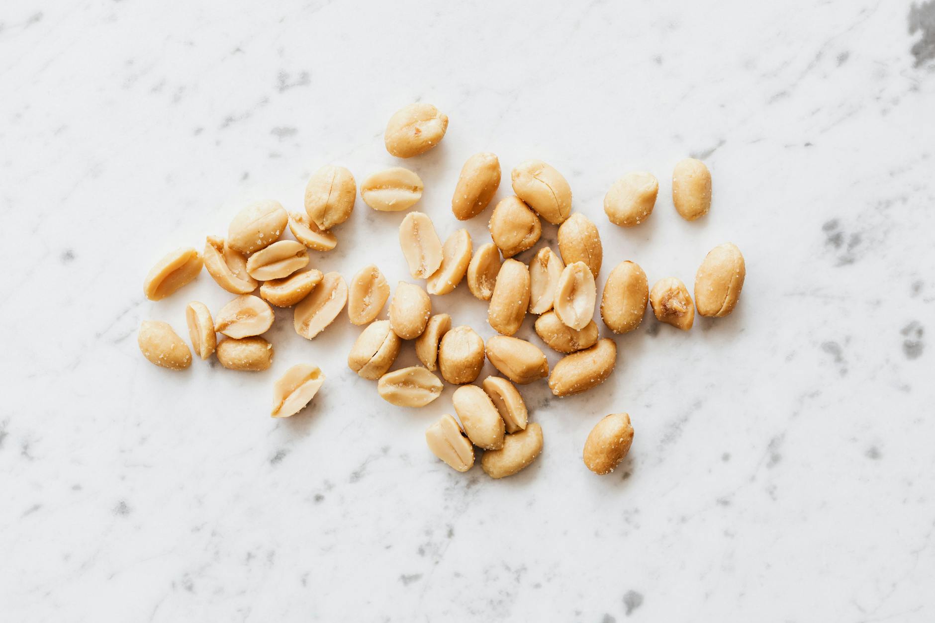 The Rise of Plant-Based Protein Alternatives in the Fast Food Industry