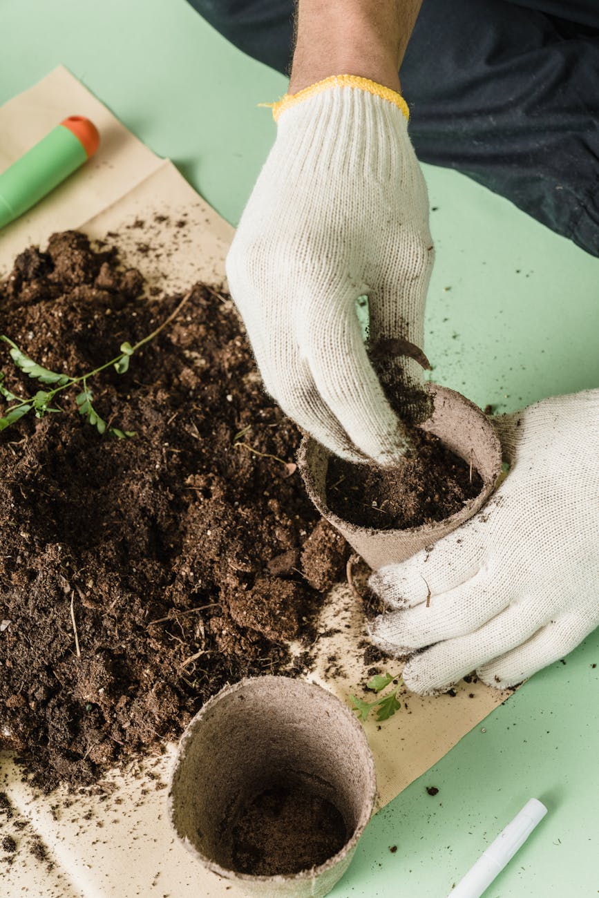 The Zen of Bonsai: Cultivating Patience Through Miniature Trees